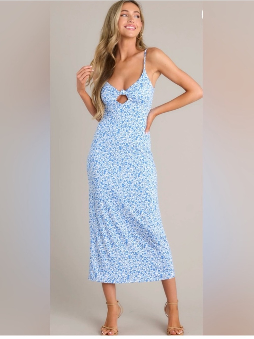 NWT Z SUPPLY carita cocos floral midi dress in blue
